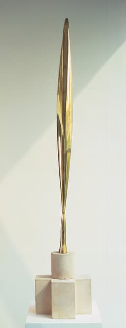 Bird in Space by Constantin Brancusi